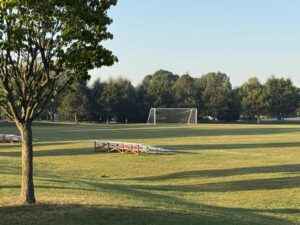 Prairie Fields Green 3