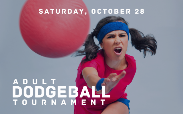 Adult Dodgeball