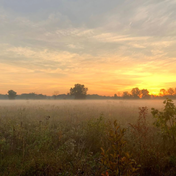 Conservation District
